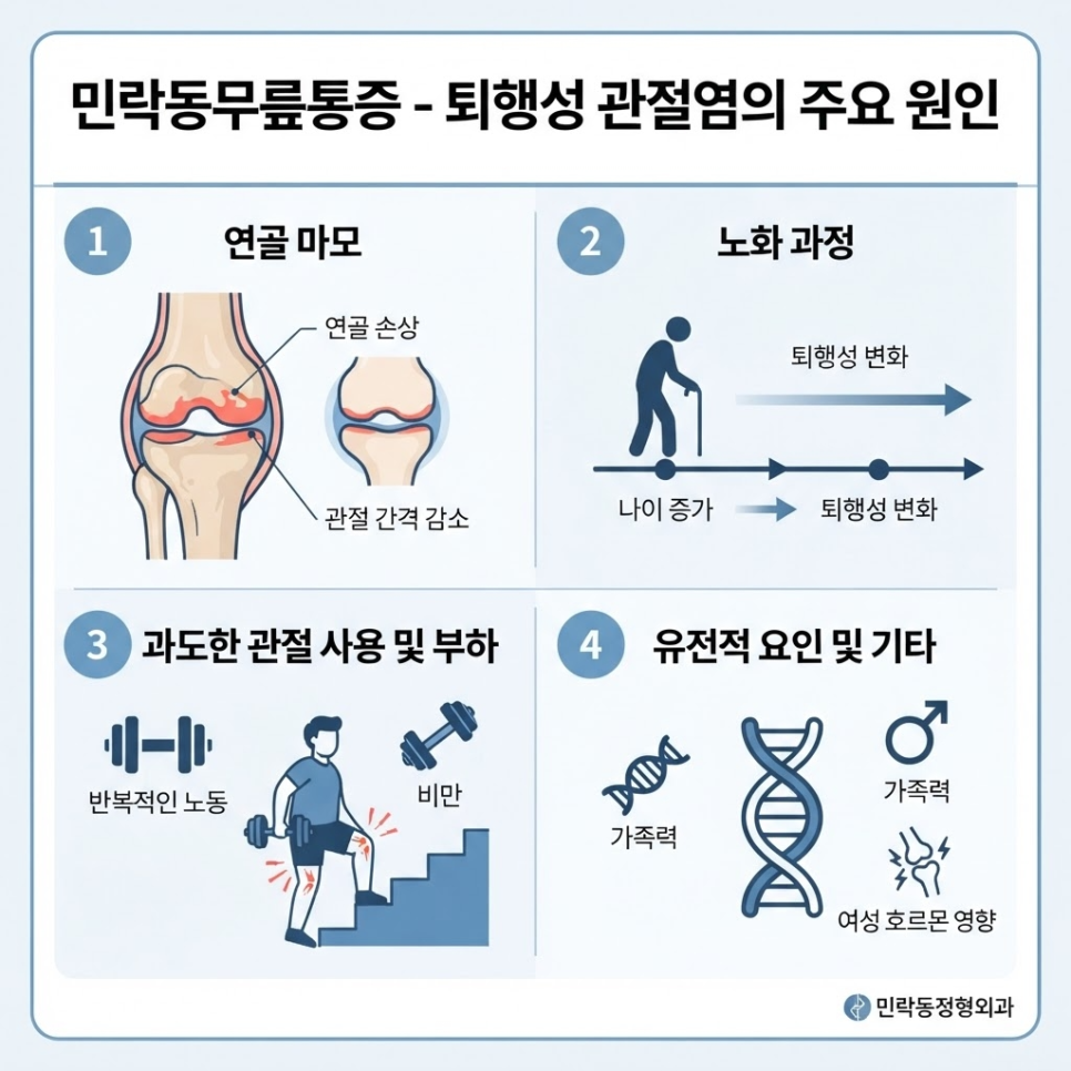 무릎 통증 원인 관련 이미지 2
